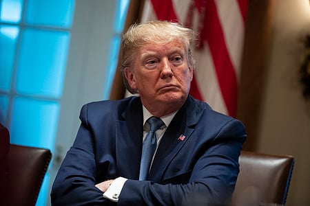 U.S President Donald Trump 