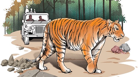 Kerala has brought out a draft policy to address human-wildlife conflicts.