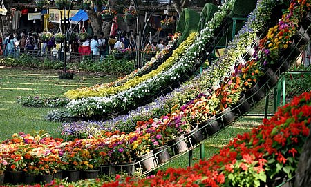 Visitors at the 217th Flower Show as part of the Republic Day celebration at Lalbagh in Bengaluru. 