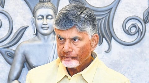 Chief Minister N Chandrababu Naidu