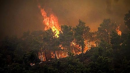 94 blazes in 11 days; J&K battles forest fire surge
