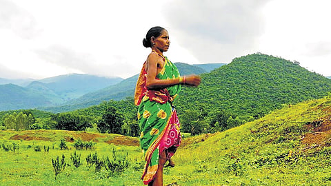 Still from the Seed Stories   