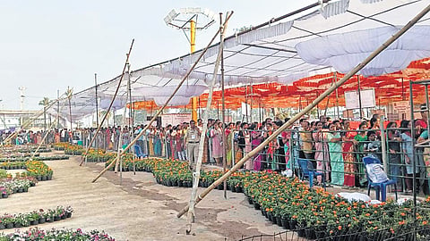 Devotees waiting in queue for Nijarupa Darshan at Arasavilli temple 