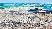 The council decided to construct roads to transport waste to the plant on a compactor.