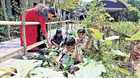 Students of Thycaud Government LP School engage in farming activities at the vegetable garden on the school premises 