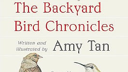The literature on birding is vast and varied, each work offering a unique lens into the world of birds.