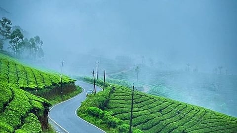 Due to the chilly weather, tourists from north India and abroad are arriving in large numbers to explore the scenic locations.