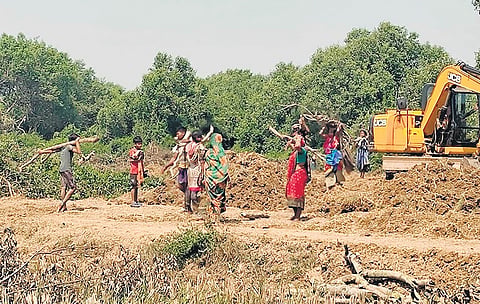 JCB machine carrying out the road widening work in Mahakalpada range area