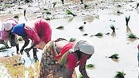 Image used for representational purposes only