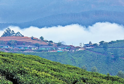 Kerala ranked 2nd ‘most welcoming region’ in India
