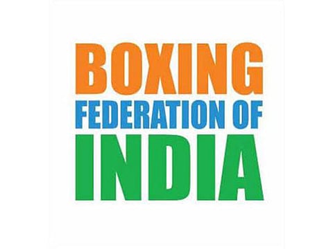 the IOA has formed yet another commitee to overlook process for an ealry election of the BFI