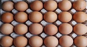Namakkal continues to be the country’s leading hub for egg exports, totalling 15 crore eggs every month. 