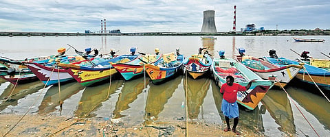 Ennore Creek is a crucial wetland ecosystem that supports marine biodiversity, prevents coastal erosion, and mitigates urban flooding 