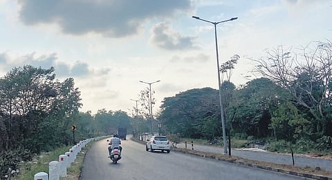 The retarred stretch along the Container Road with streetlights 