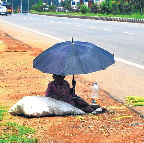 Under the shade of an umbrella, a boy is selling corncobs on the roadside in Vizag 