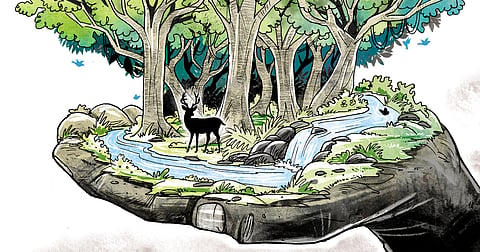The 100 acre land at Laxmiposi village in Shamakhunta tehsil of Mayurbhanj district, where the state government has reportedly planned to take up a hotel project