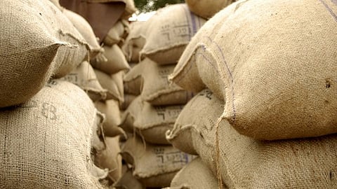 The state government has procured 73.5 lakh tonne during the current marketing season which will be equivalent to 49.6 lakh tonne rice. 
