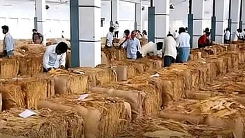 Tobacco auction. 