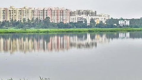 Bellandur lake in Karnataka. 
