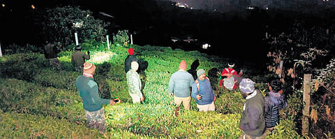 Police said after sensing foul smell emanating from the bushes in a tea garden on Thursday afternoon, locals  checked and found her body