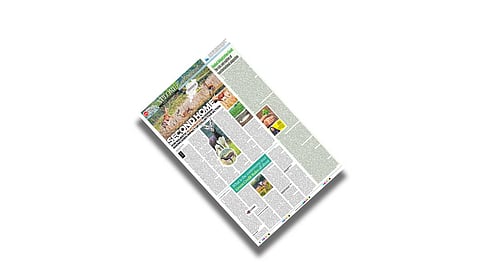 Xplore Environment