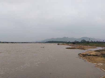 Despite the ruling, untreated effluents continue to flow into rivers in Gudiyatham and Pernampattu, turning the water yellow and affecting agriculture, farmers said. 