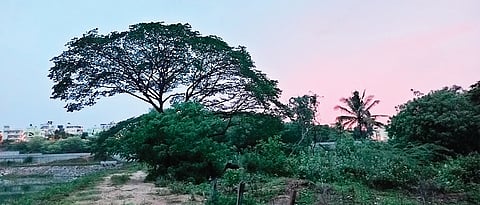 Land identified by BMRCL for its depot at Sunkadakatte village.
