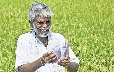 A farmer, smiling, counts currency notes on his field in Karimnagar district.