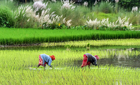 Representative image
