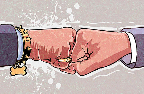An anatomy of envy