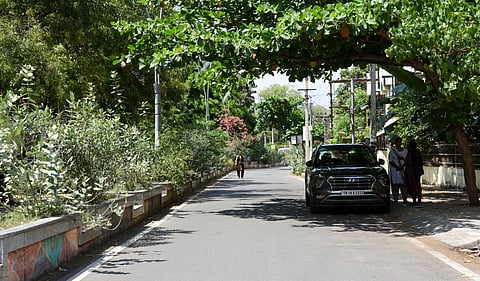 Several artists were consulted for setting up stalls for displaying
artworks on the Thillai Nagar 80 Feet Road in Tiruchy 