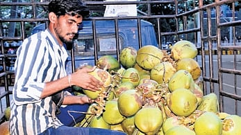A good-quality tender coconut costs over Rs 70. 
