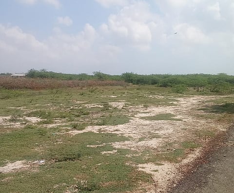 The site identified for the establishment of SIPCOT Industrial Park in Thennadar village 