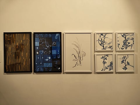 Dornith Doherty’s ‘Archiving Eden' 