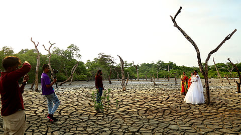 Elamkunnapuzha in Vypeen has become a hub of photo-shoots 