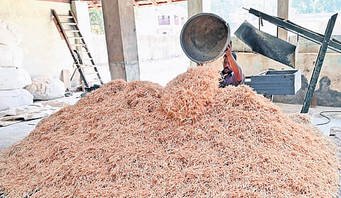 Matchsticks processed at the factory are sent to Tamil Nadu for applying the combustive tip and packaging 