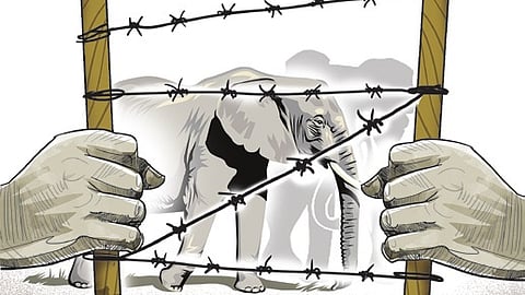 The list of methods adopted include EPT, rope fences, 3-4 types of solar fencing, special concrete walls, rail barricades, barbed wire and mobile technology-enabled smart fences.