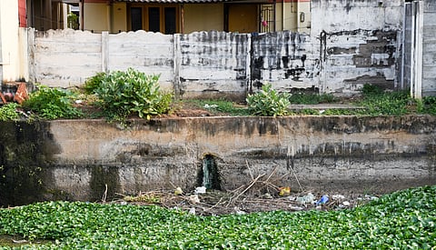 An outlet of untreated drainage water extending into the Uyyakondan canal
from a house at Anna Nagar in Tiruchy 