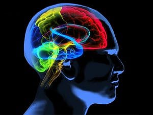 New highly accurate blood test to measure progress of Alzheimer’s