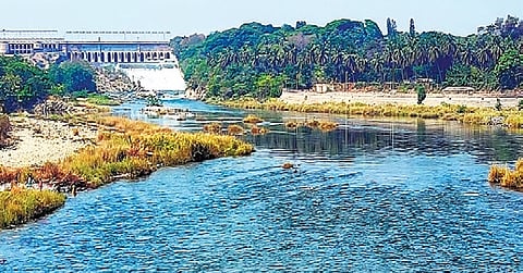 On April 1 last year, the water level at KRS was 13.42 tmcft and at Kabini 9.39 tmcft. 
