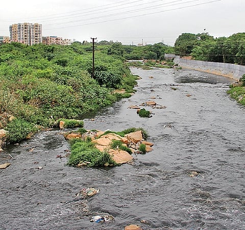 Musi river rejuvenation project