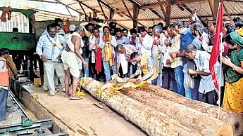 Considered an auspicious day, Ram Navami marks the beginning of the process of wood logs slicing in the mill which are then used in construction of chariots. 