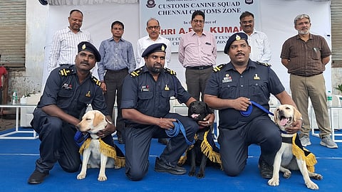 Handlers pose with the newly inducted labradors. 