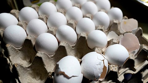 FILE - A carton of eggs sit on a counter in the kitchen inside of 5 Rabanitos restaurant in Chicago, Feb. 16, 2025. 