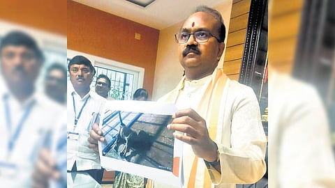 TTD EO J Syamalrao holding a picture of a dead calf.