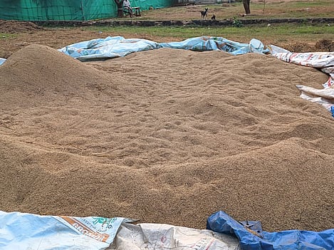Official sources said procurement agencies purchased about 9,28,887 quintal paddy from 10,146 farmers against 11,55,673 quintal target till June 25.