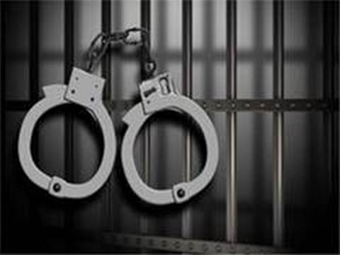 Delhi Police nabs two drug traffickers, over 27 kg of cannabis seized
