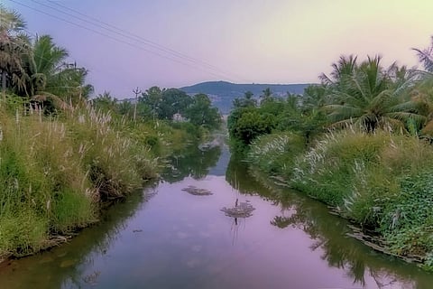 Kiruthumal river