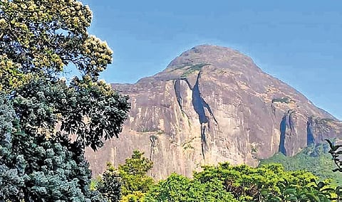Agasthyakoodam is part of the ecologically sensitive Agasthyamala Biosphere Reserve. 