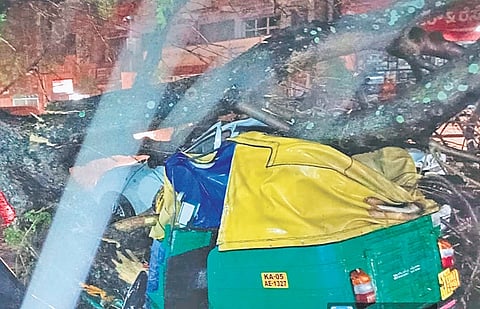 The mangled remains of the auto rickshaw, on which a tree fell amid heavy rain, killing its driver in Bengaluru on Thursday evening 